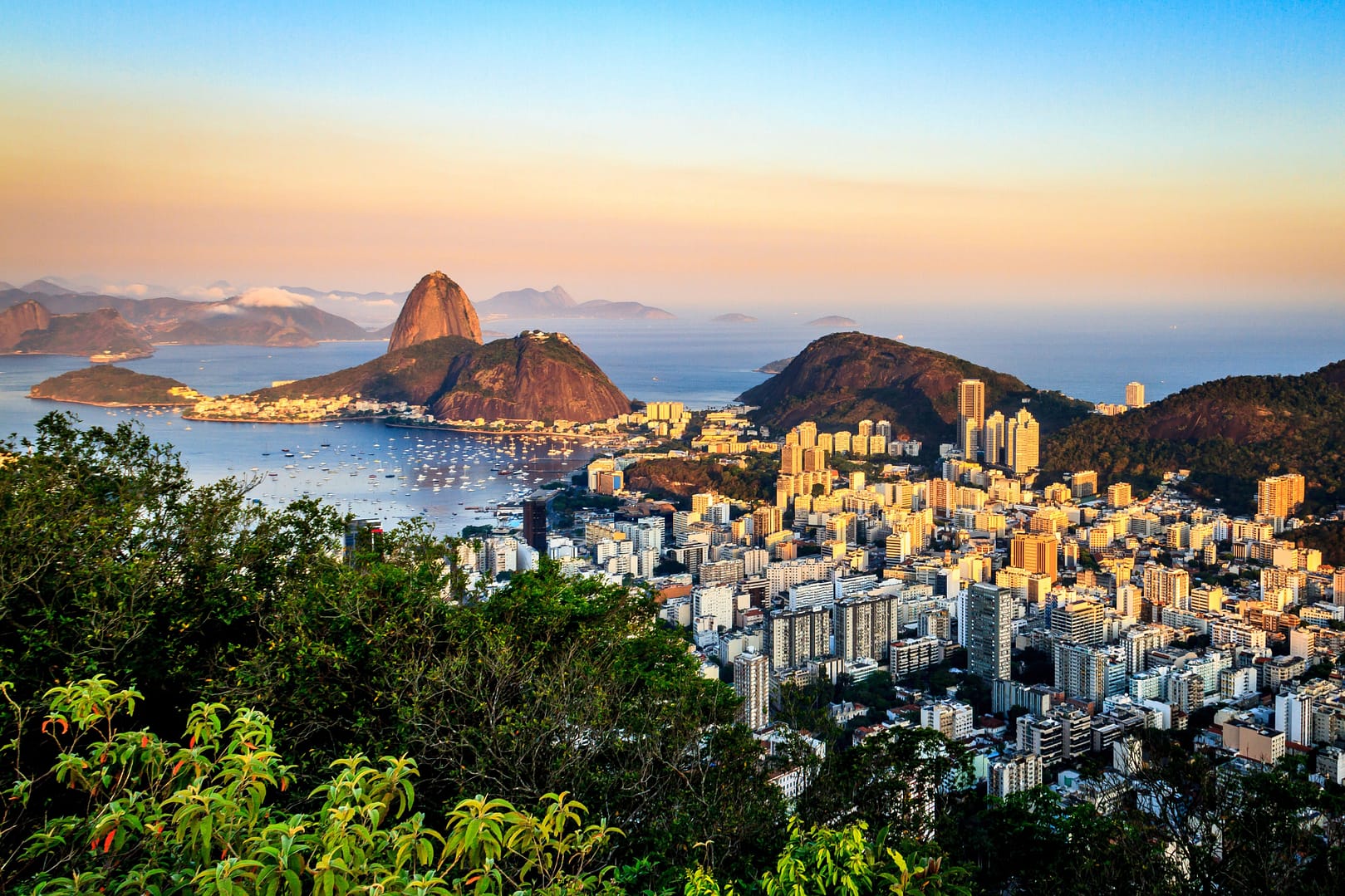 All Thing Rio Rio’s Amazing Things – Traveller XP