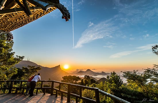 Explore the Tijuca Rainforest